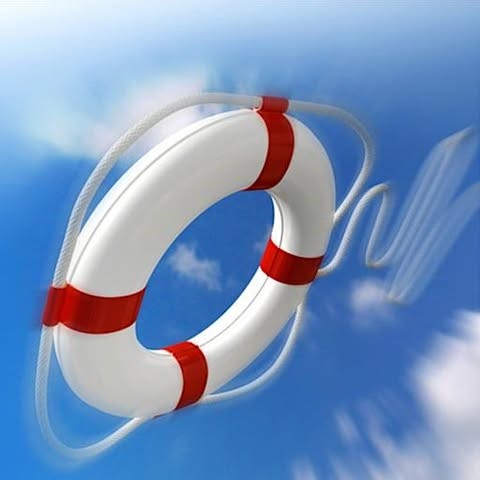 American Beauty II life saver image