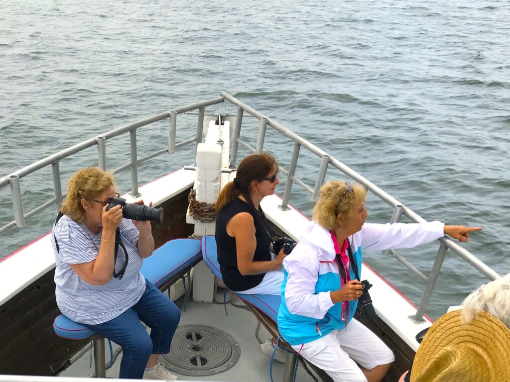 Guests take photos near Mashowmack Nature Preserve from American Beauty II during our 90 minute nature cruise.